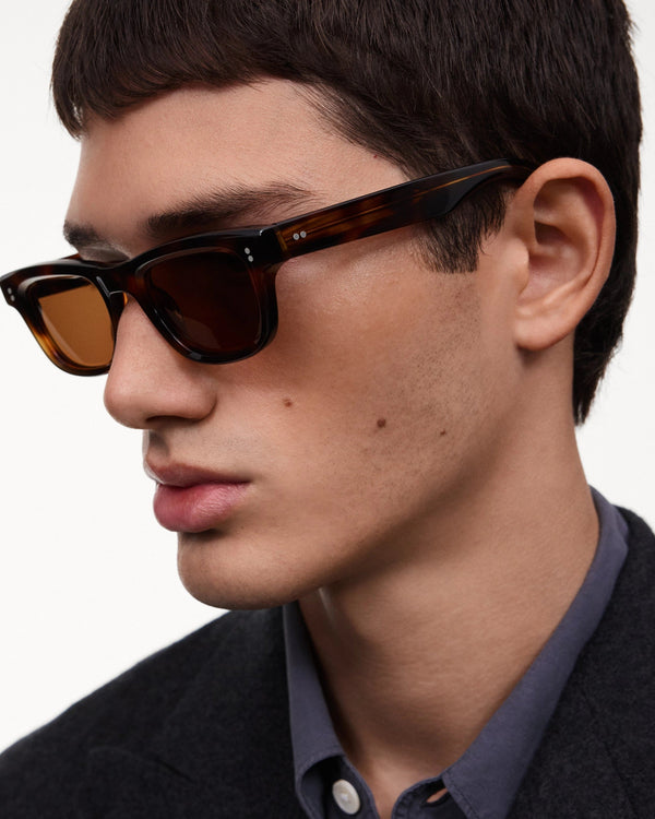 08 Core / Tortoise & Brown Lens - Shade Files